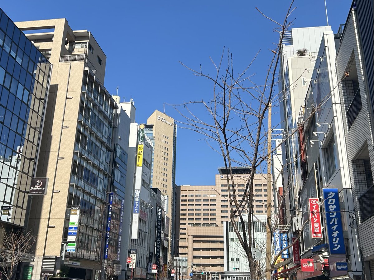 楽器屋巡り楽しかったけど人見知りすぎて🥲