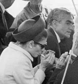 دریــا🌊 tweet media