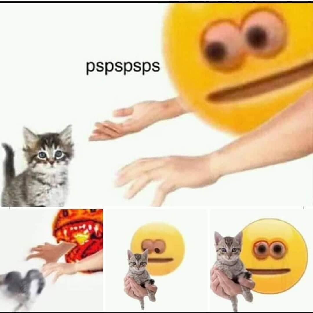 PunchingCat's tweet image. 