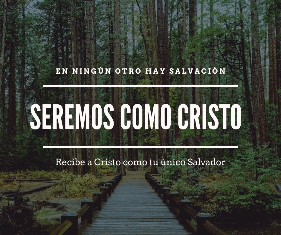 ¿Por qué prefiero ser como Cristo?

Quiero ser como Cristo porque a diferencia de otros que odian y enseñan a odiar, Cristo me ama con amor eterno, lo demostró al morir por mí en la cruz y me enseña a amar hasta a mi enemigo.