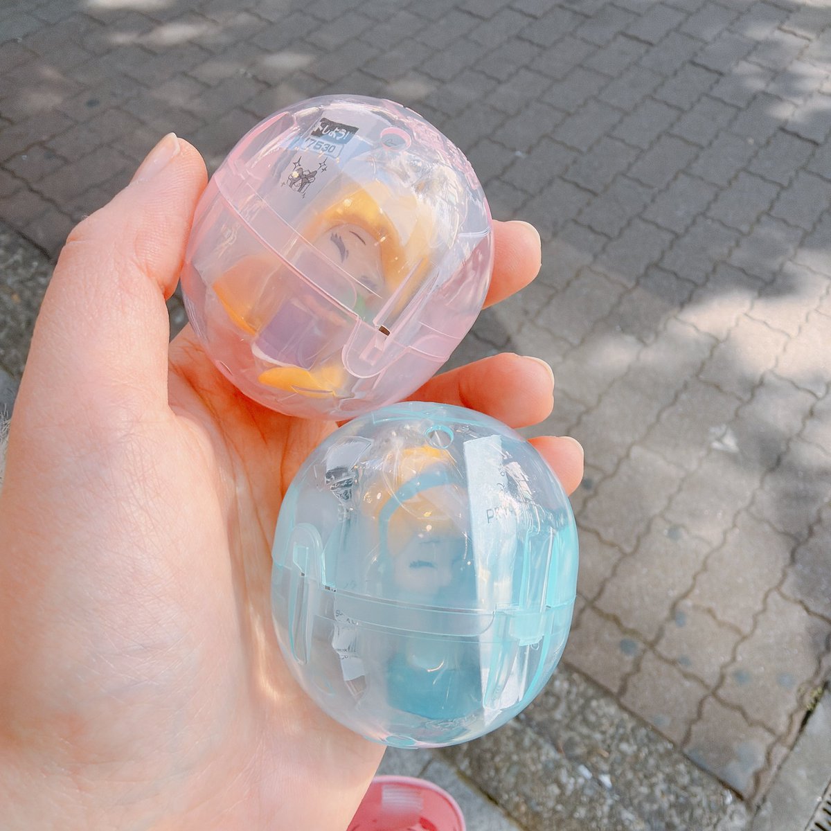 m🌸ﾌﾟﾛｶ有 tweet media