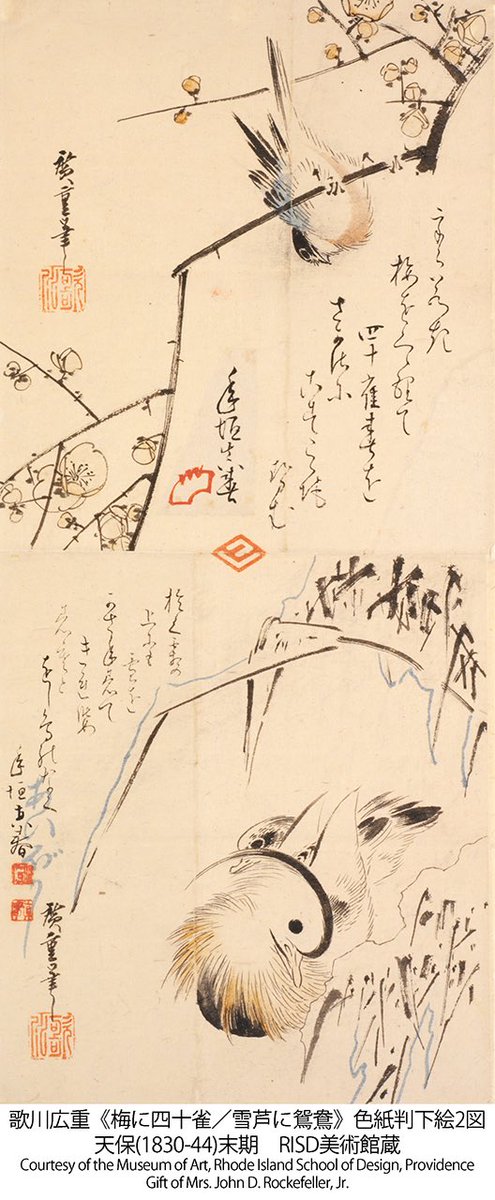 千葉市美術館 tweet media