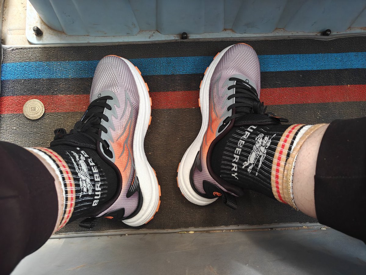 净饭单推人❤️ tweet media