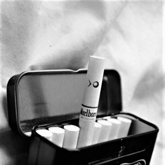 RAKARSA BUMI. tweet media