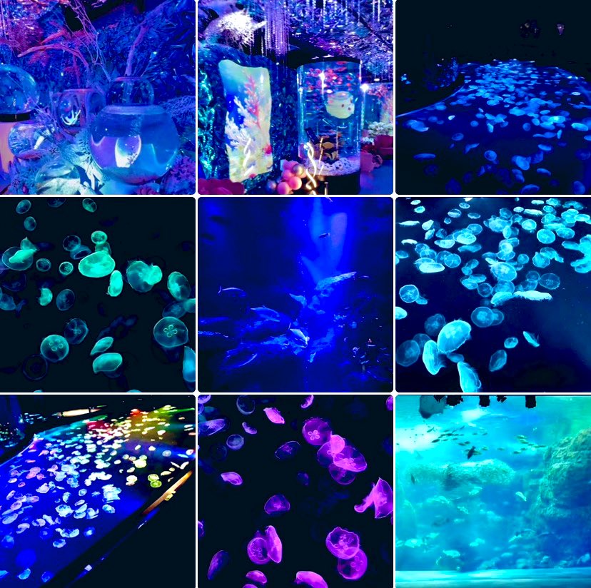 不思議と幸福だったわ

サンクチュアリ