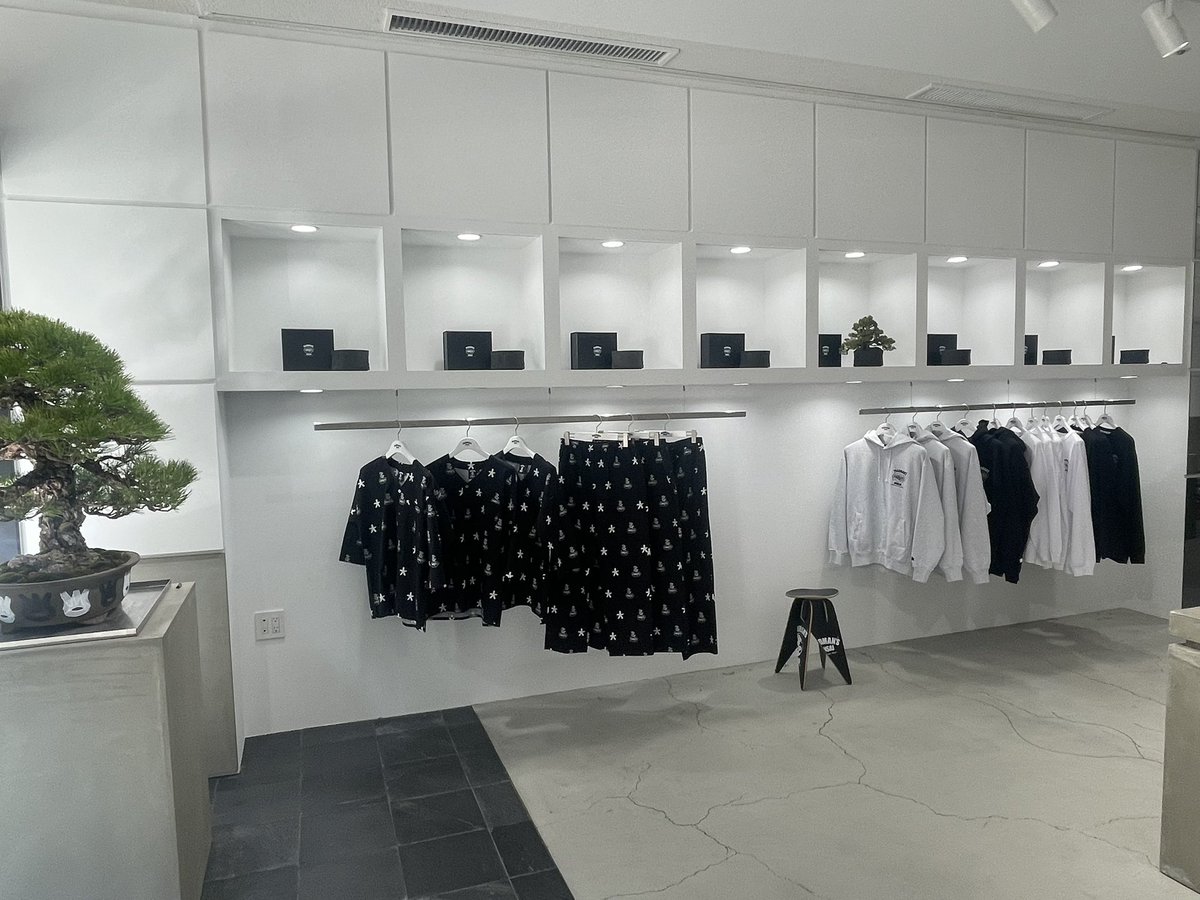 Post by りっつ／コレクター on X: 中こんな感じ