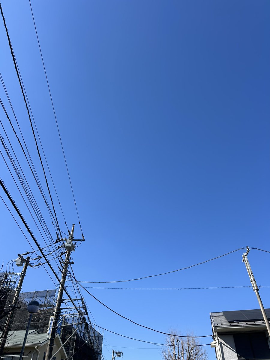 おはようございます🌞

夢で変な時間の夢見るとリアルで今何時だ！？ってなって部屋真っ暗で時間感覚わかんなくなって飛び起きることありますよね。
僕は犬に顔叩かれて起こされるんですけどね。

やっと暖かくなってきてめちゃハピ