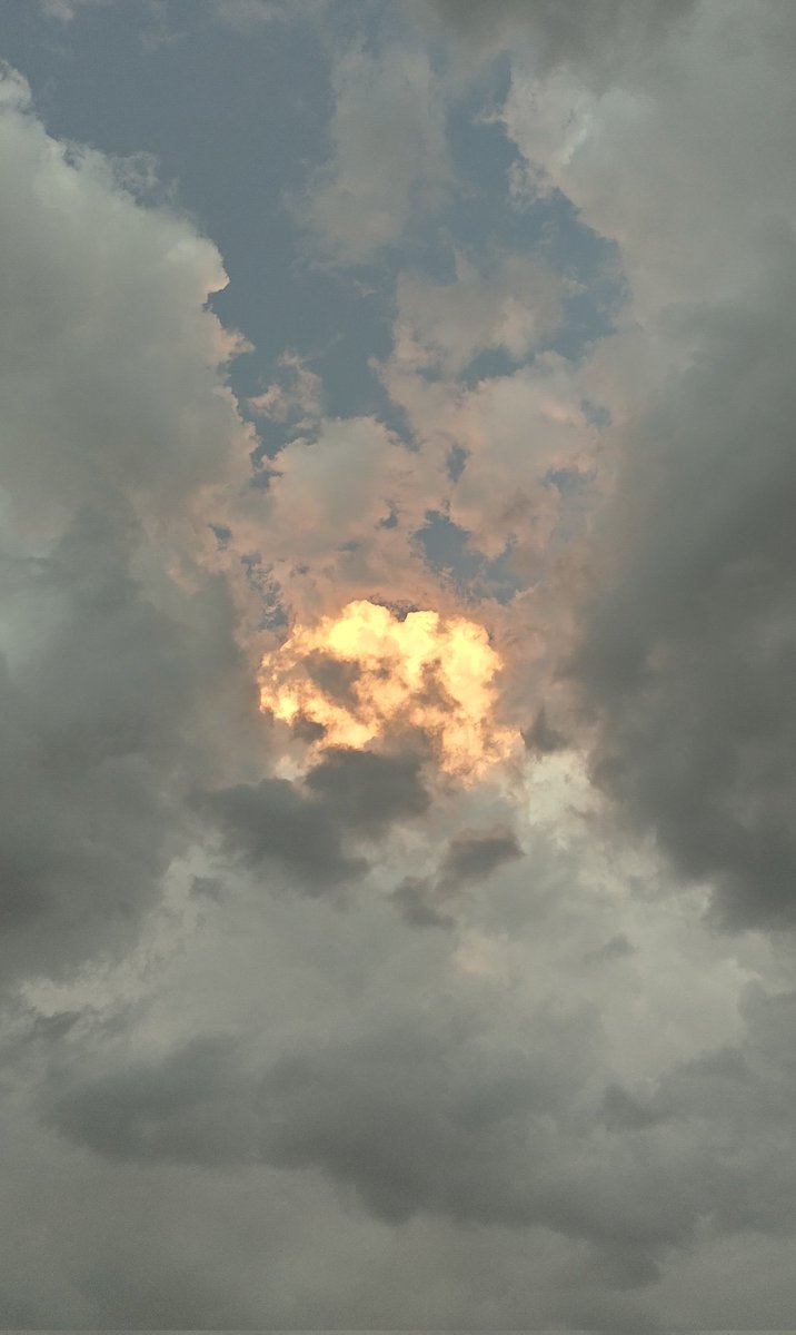 LightForceX tweet media