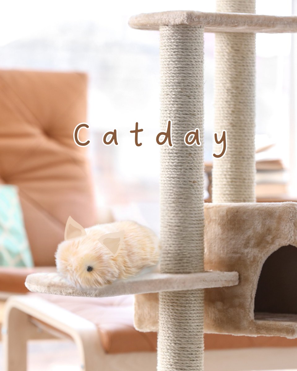 公式】Moflin（モフリン）｜感情が育つAIペット (@casio_moflin