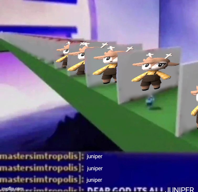 Truest Perek tweet media