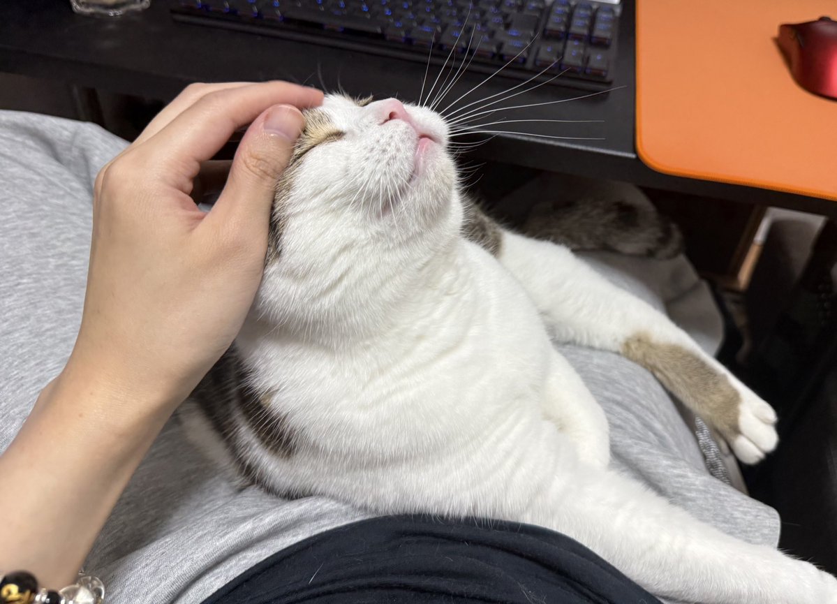 シンプルにこの時間に起きたぜ👊 おはようguys