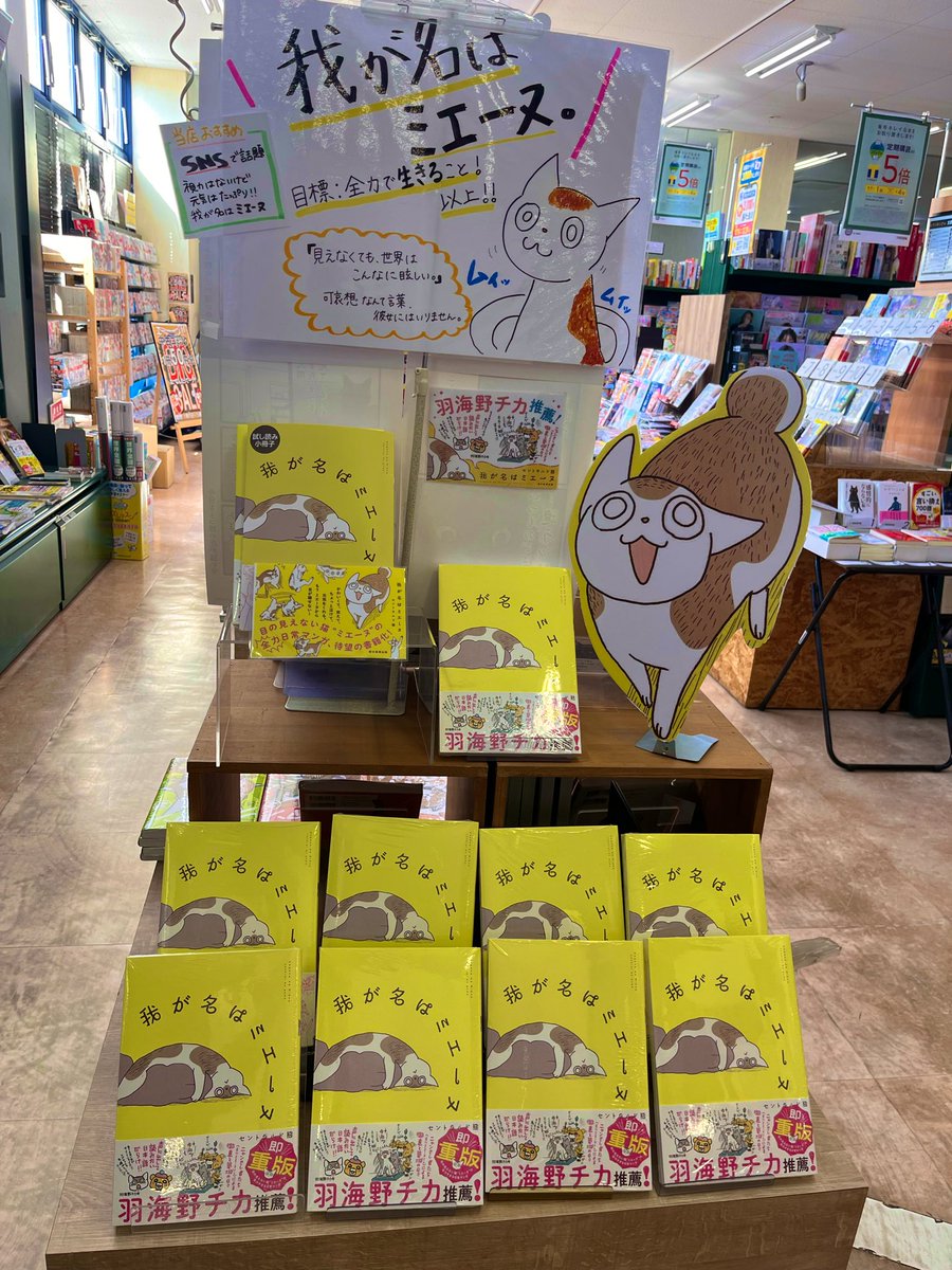 【全力推し！】
『 #我が名はミエーヌ 』
目の見えない猫ミエーヌ。
ぶつかっても転んでも、彼女は止まらない圧倒的生命力に震えます。
今、一番読んでほしい「元気が出る」物語です。

#書店員おすすめ #セントラルド熊 先生
#TSUTAYA #我が書店のミエーヌ