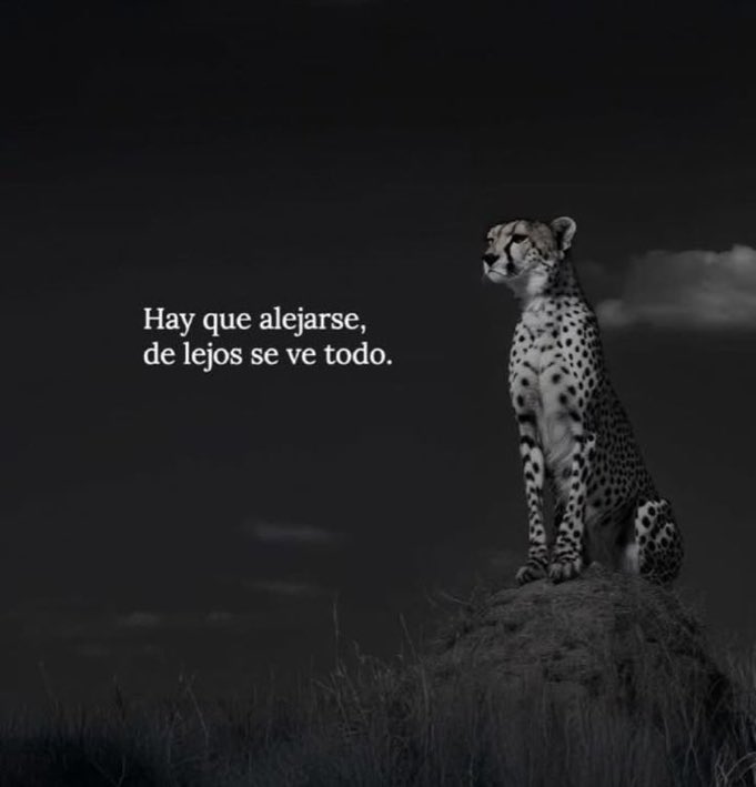 Esteban Ruiz (@estebanrui21852) on Twitter photo 