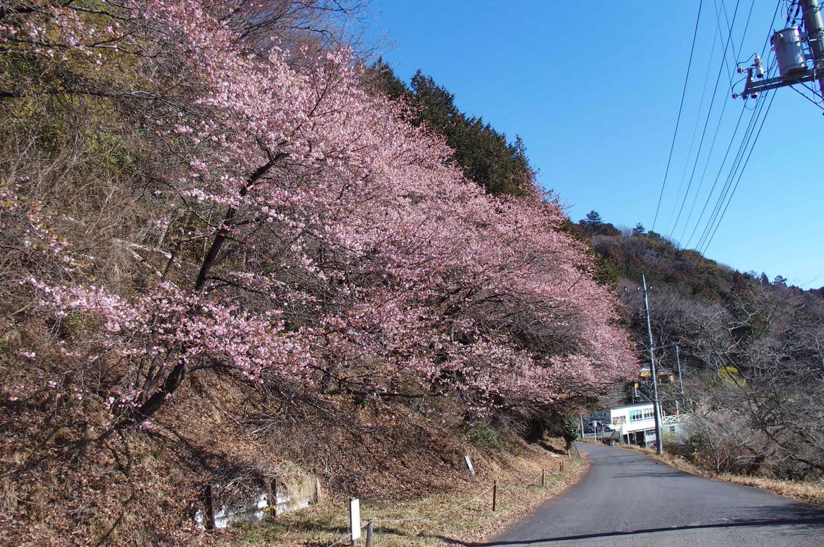 enozo (@kuma_oga) / Posts / X