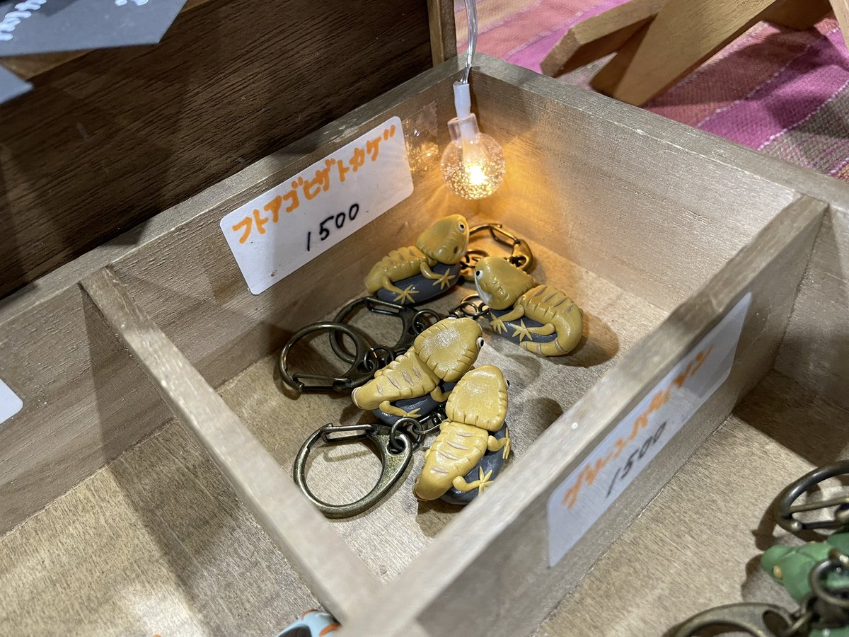 せつこ tweet media