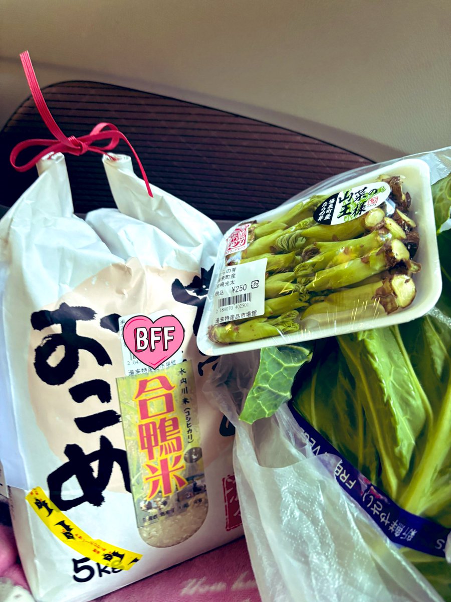 とんすけ (@zqux9U2SRprUXIV) / Posts / X