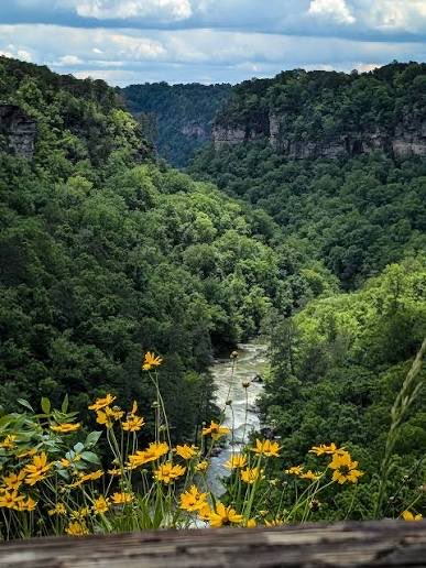 Sandy Petersen 🪔 tweet media