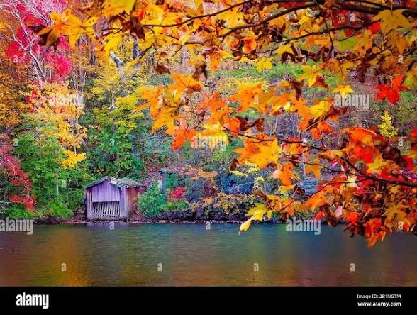 Sandy Petersen 🪔 tweet media