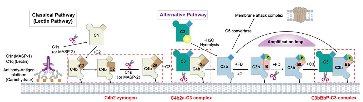 School of Life Sciences, Peking University tweet media