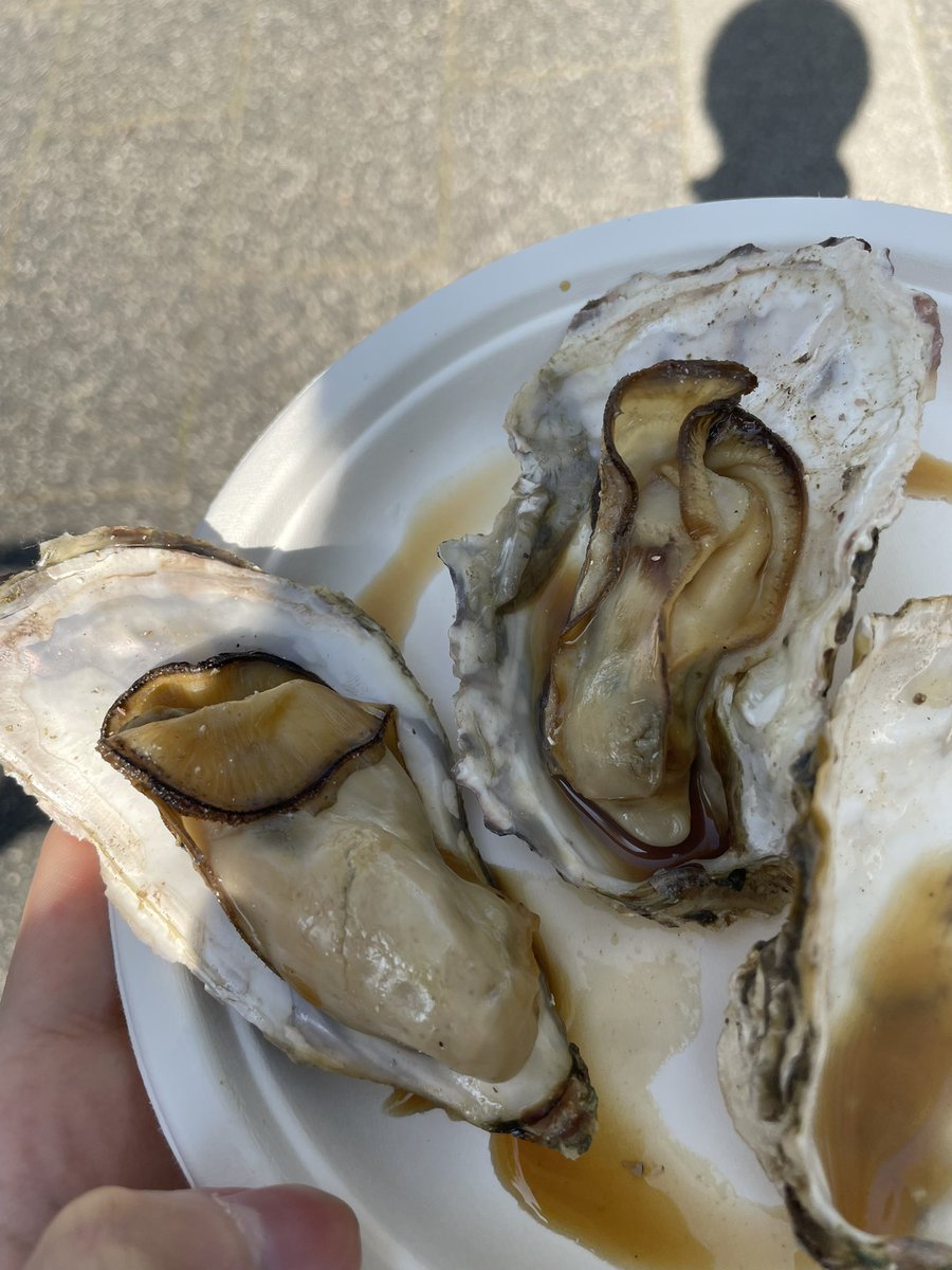 くろま🐈‍⬛ tweet media