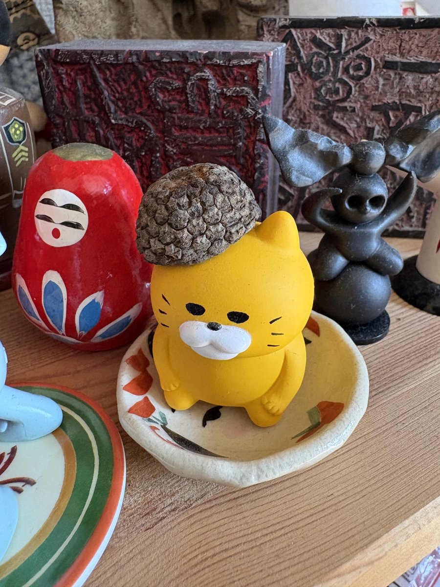 旅先で拾ったどんぐりの帽子がジャストフィット