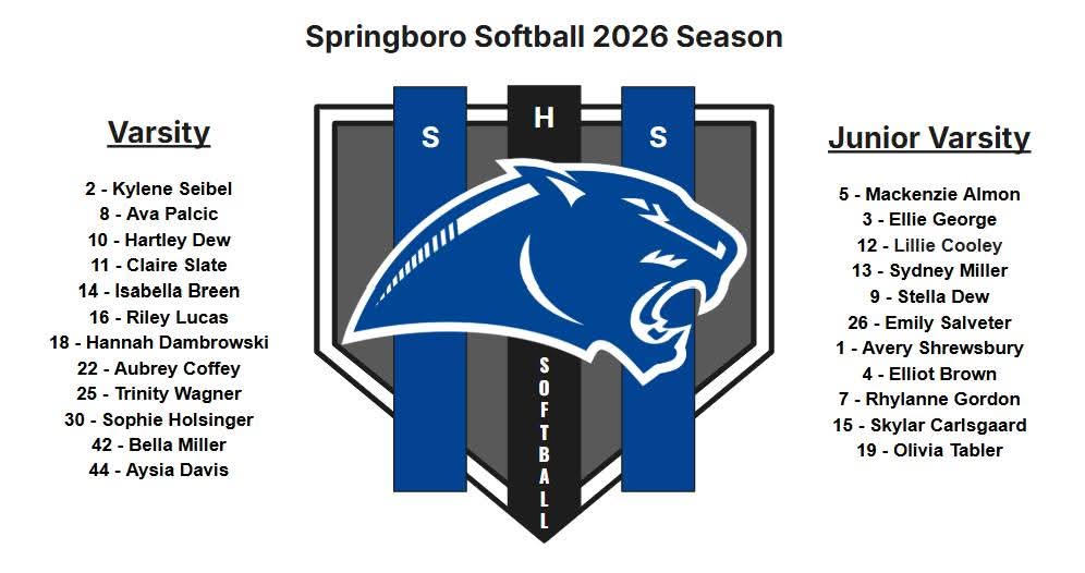 Springboro Softball tweet media