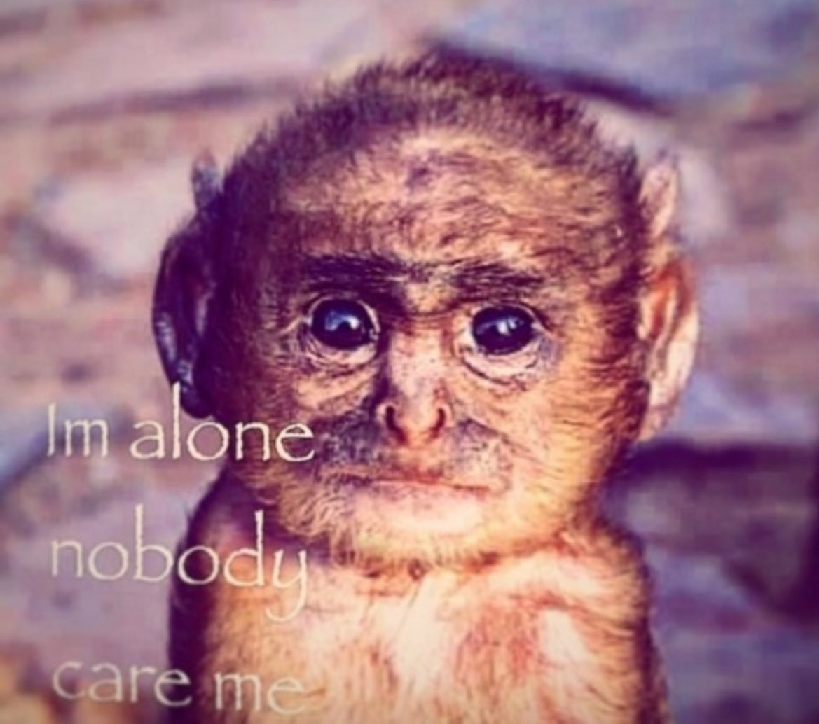 ✩ em ✩ tweet media