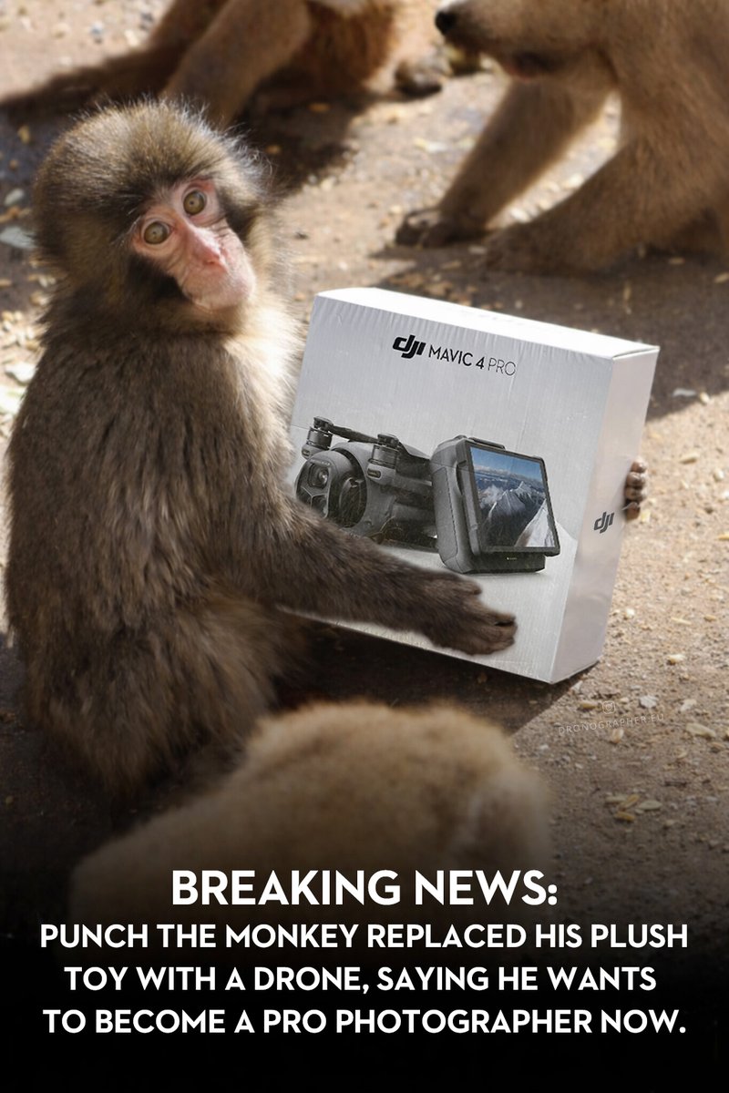 Dronographer tweet media