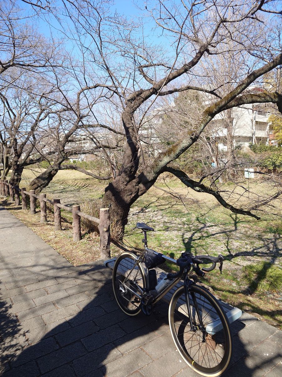 この川はもう干上がったままなのか？