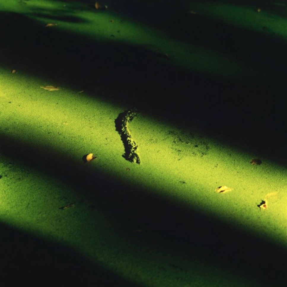 柿崎真子「音のはじまり」
オープンしています。
展示は明日2/22(日)迄です。三連休はお天気にも恵まれるようす、ぜひギャラリーへお越しください。