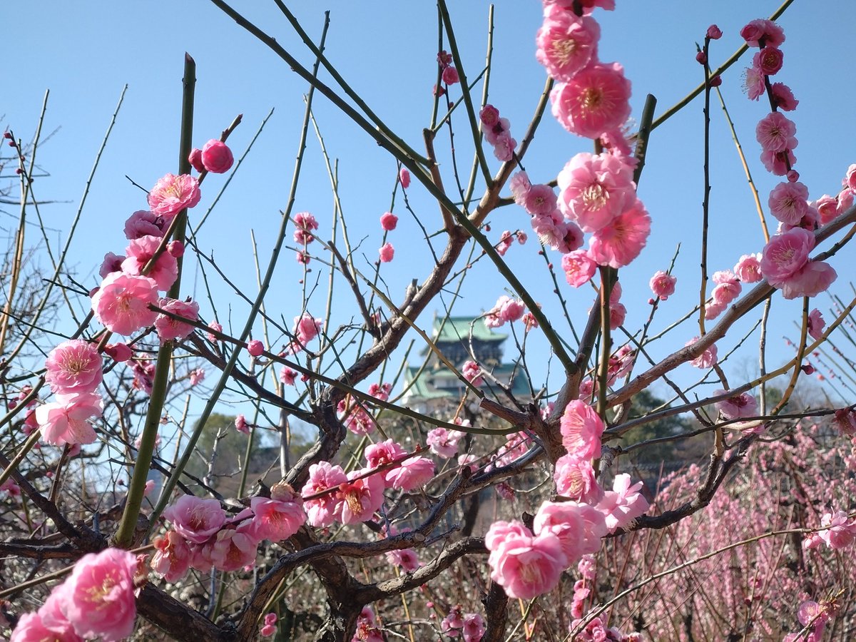 ふな!! tweet media