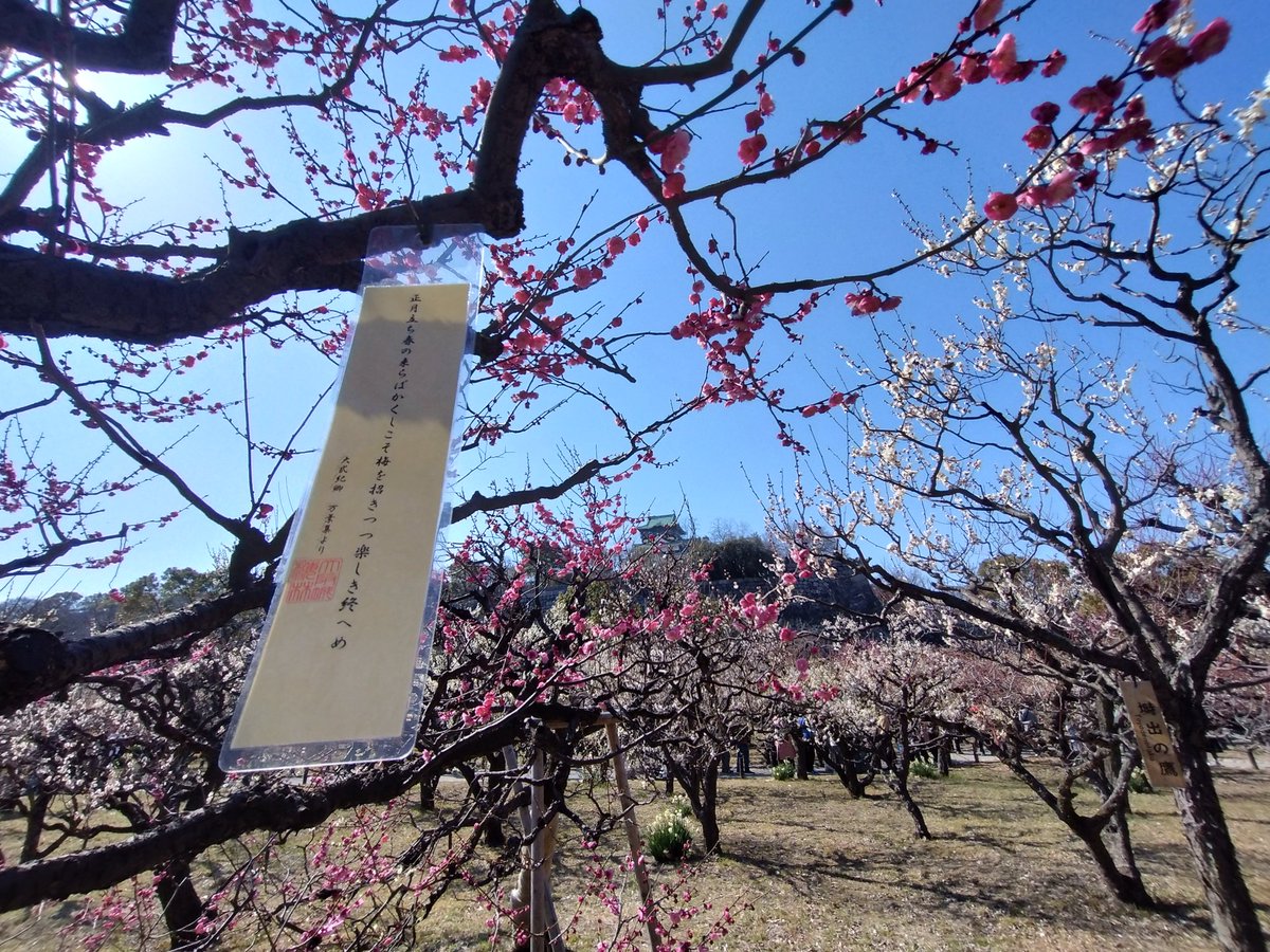 ふな!! tweet media