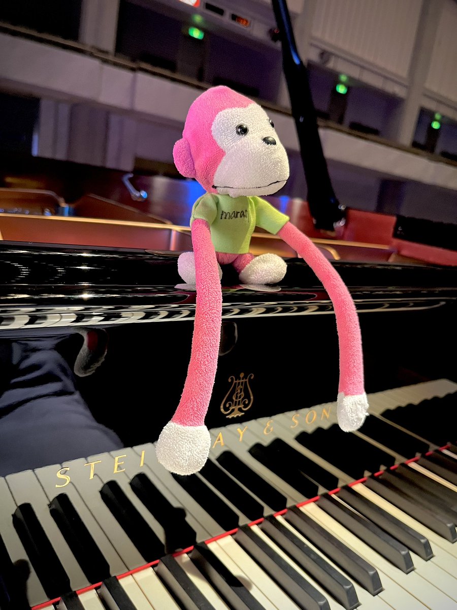 今日は広島ライブです☀️ 美しくなったサルとお待ちしております