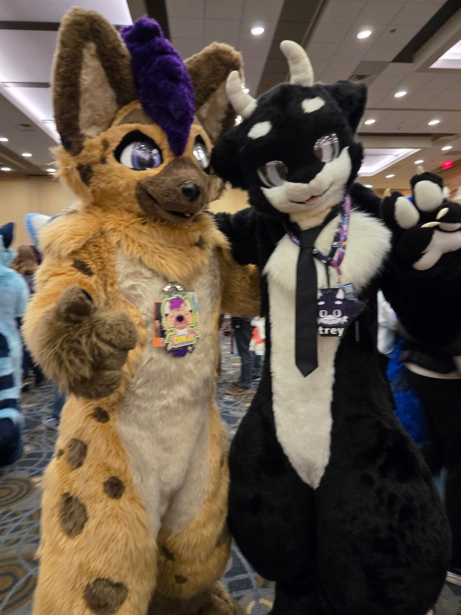 Chilling at the kemono meet <a href="/FurFest/">Midwest FurFest</a> !

#furryfriday #furryfandom #chicago #mff #mff2025

✂️<a href="/RSKemono/">Raging Sea Kemono</a>
📸 <a href="/bigfurrycat/">Archicat</a>