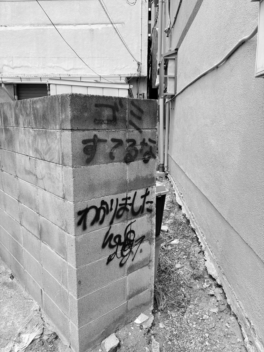 私はいま音楽でしっくり出来ることをしているし、将来の目標も定まってきたし、人生順調だなと思います