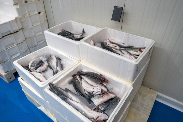 ⛄️Jacob⛄️ tweet media