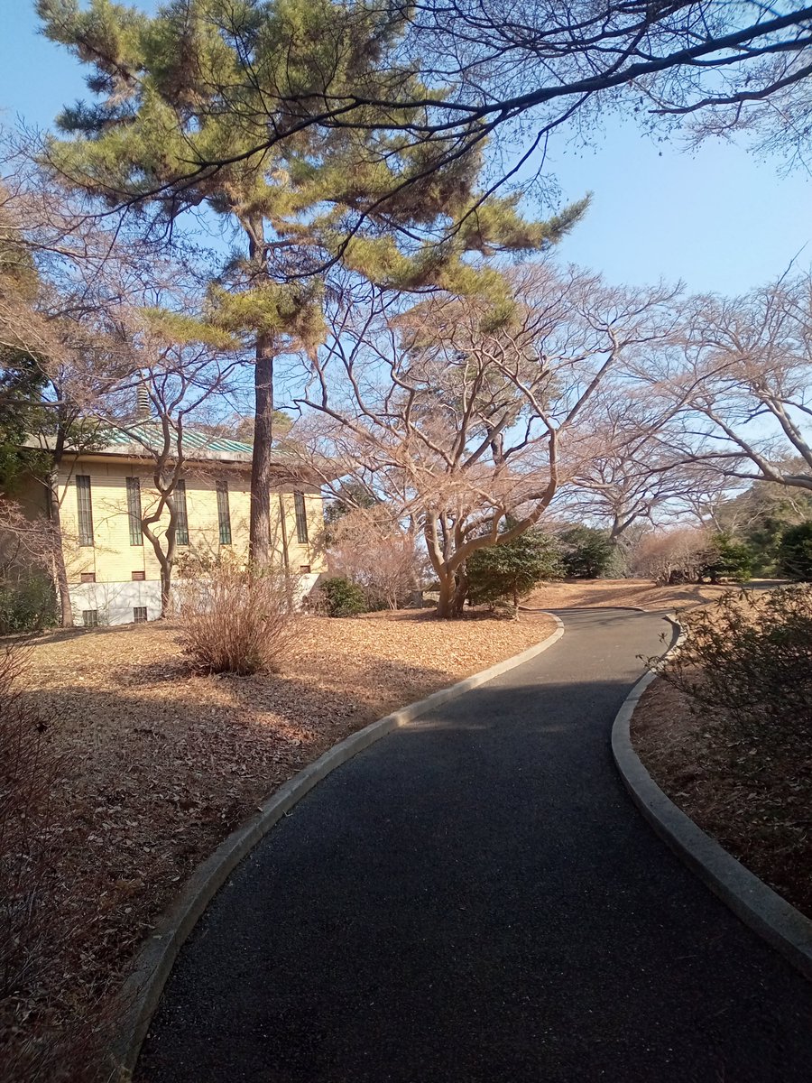 今週もお疲れ様でした 週末はゆっくりとお過ごしください｡｡