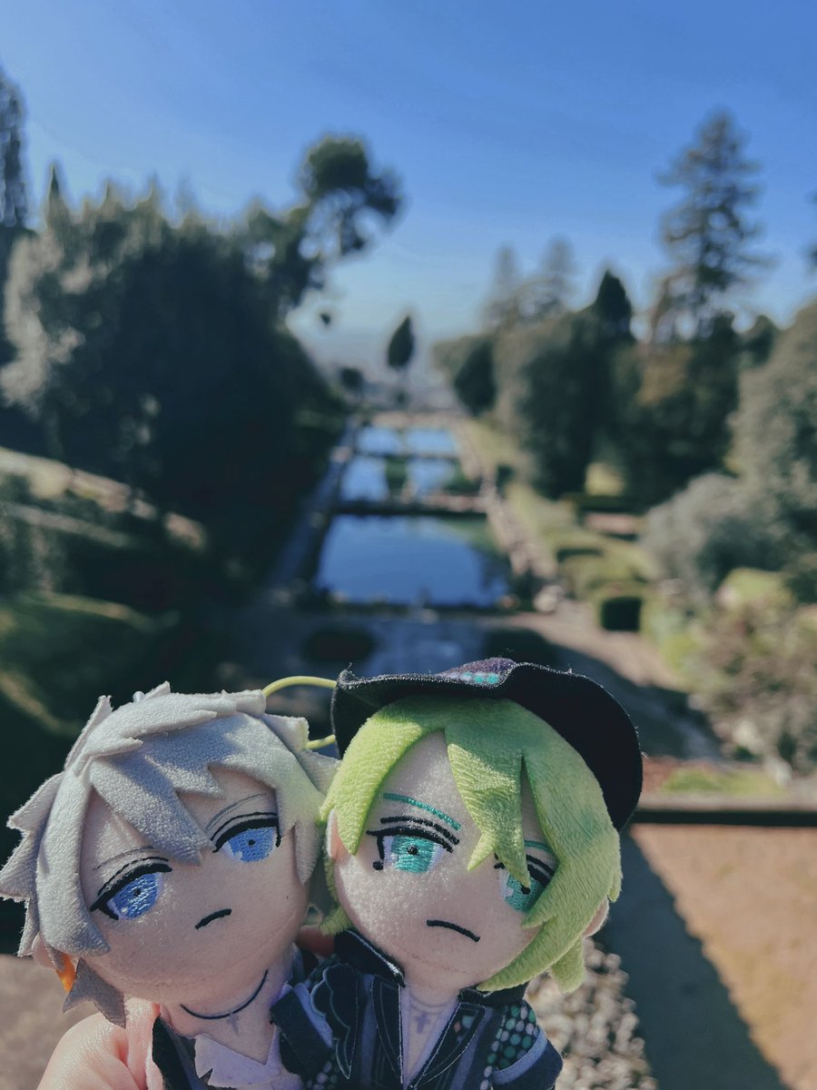 wolfrain1011's tweet photo. 📍Tivoli https://t.co/yPX8NJFG03