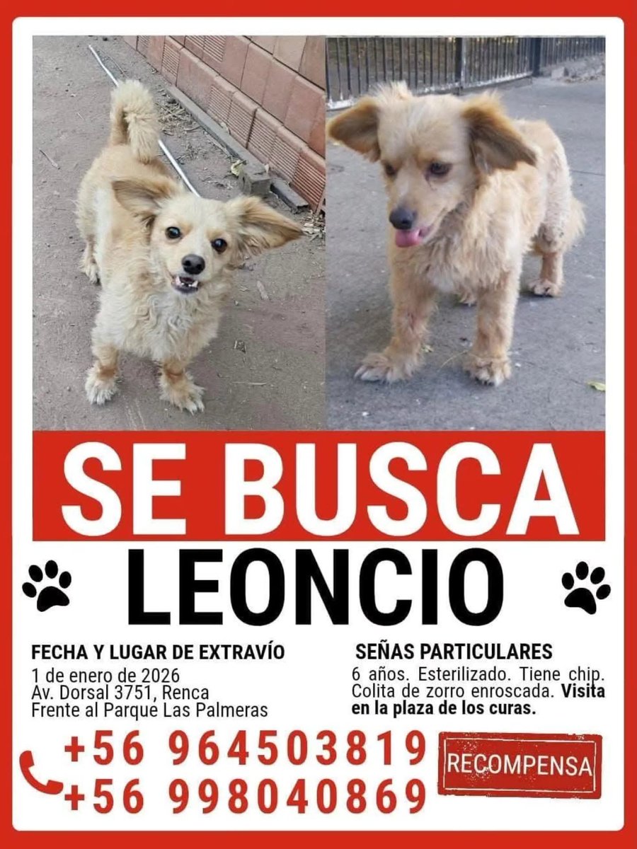 LORE TIN tweet media