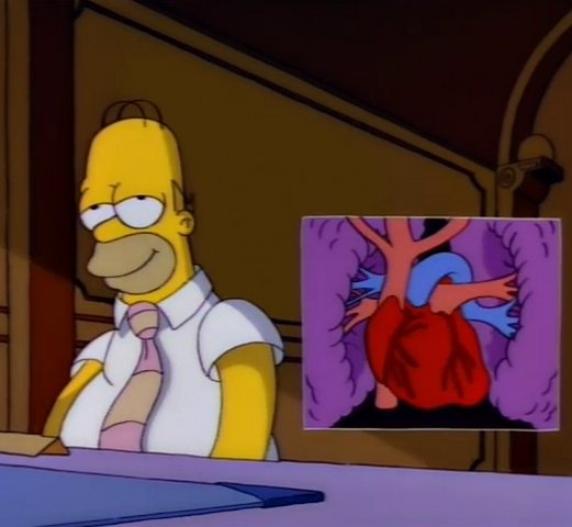 Cuando atropellas a un perro // Pero es un therian