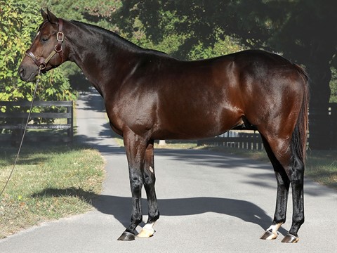 Ahmed Bin Suwayyid tweet media