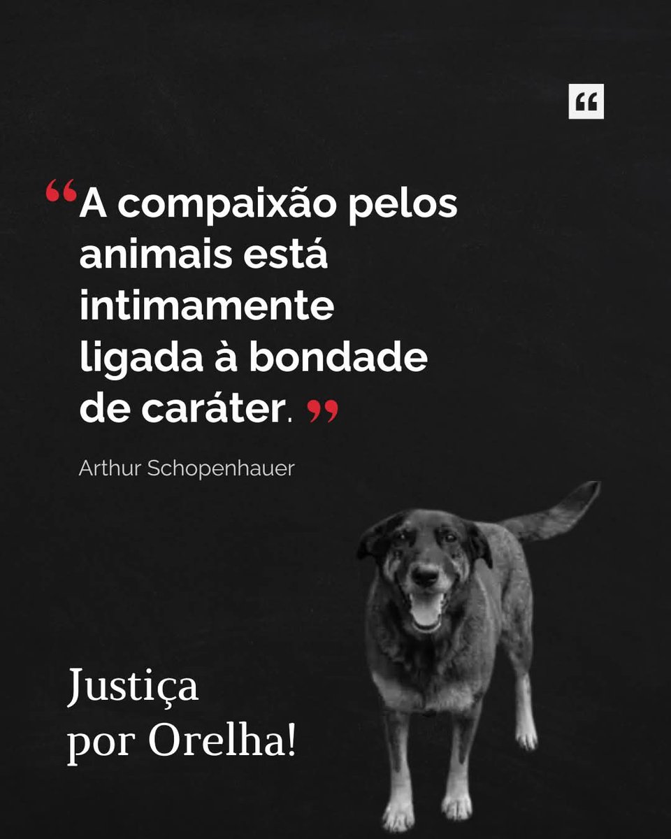 Ninan de Vengerberg tweet media