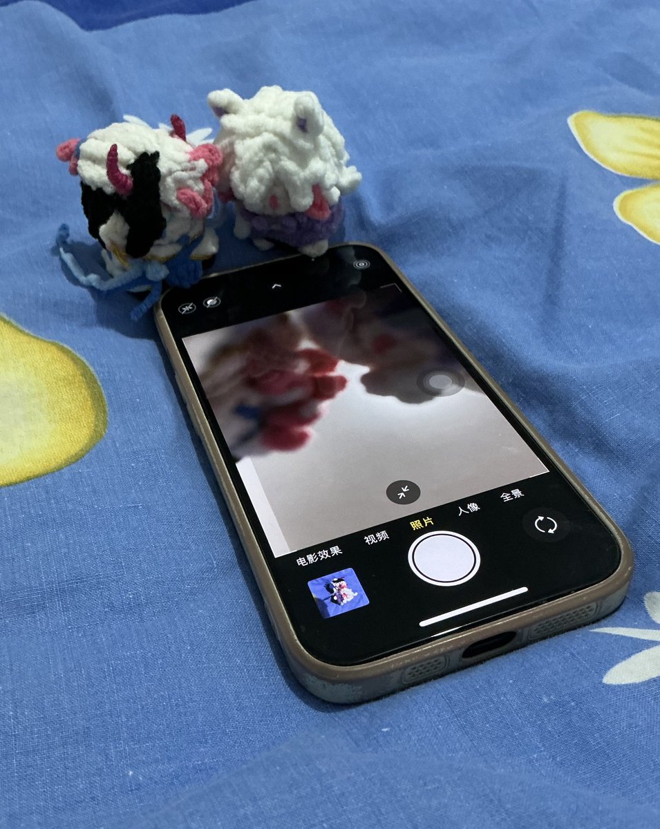 the_keeper307's tweet photo. 我要进化成手工博主！两只小鼻嘎最后的甜蜜时光
#settphel #sett #Aphelios https://t.co/xsQbSIMkyg
