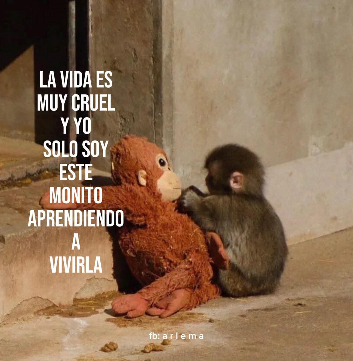 En Júpiter (@en_jupiter_) on Twitter photo 