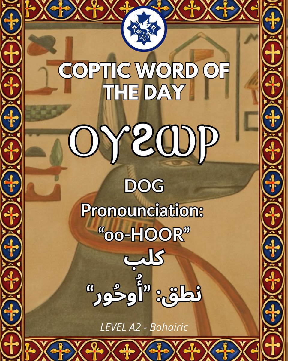 eremhi's tweet photo. ✝️ Coptic Word of the Day - ⲟⲩϩⲱⲣ ✝️
which means ‘Dog’, pronounced “oo-HOOR”
وهذا يعني: كلب.
”نطق: “أُوحُور

#coptic #CopticChristians #copticlanguage #القبطية #اللغةالقبطية #مسيحية https://t.co/subpfmvsxQ