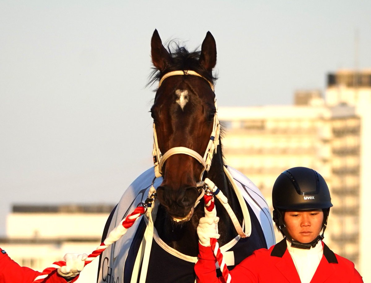 3to4hiramatsu's tweet photo. 「病床に届け！」　G I連勝に懸ける想い。
助さん拡散よろしくお願いいたします🙇‍♂️
#ヤフーニュース
#ダブルハートボンド
#フェブラリーS
https://t.co/0AJ150zSvR

インスタでは更に多くの写真を載せています。フォローよろしくお願いいたします🙇‍♂️
↓
https://t.co/iayjjBtvXl https://t.co/bSNyRv6sIm