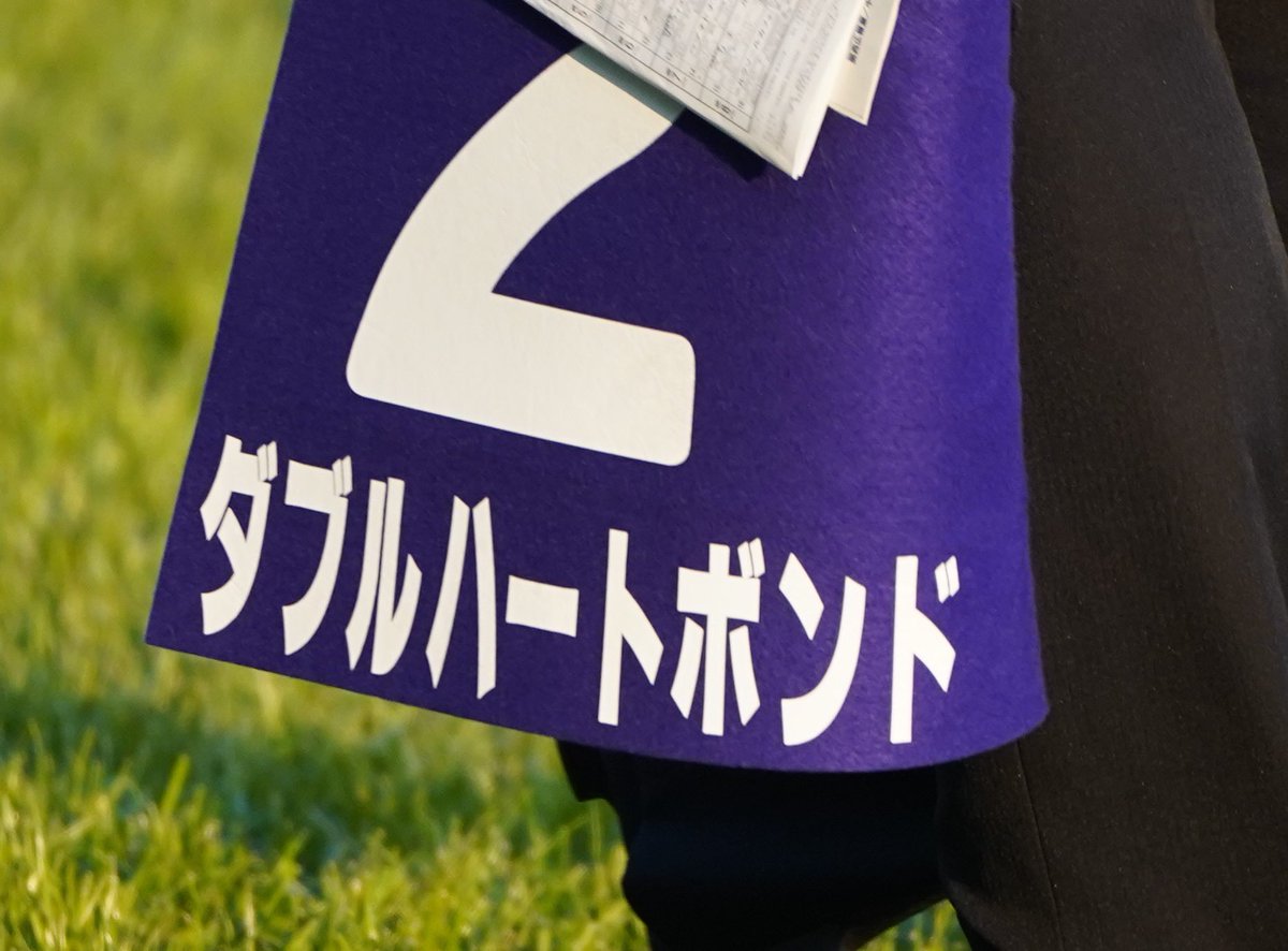 3to4hiramatsu's tweet photo. 「病床に届け！」　G I連勝に懸ける想い。
助さん拡散よろしくお願いいたします🙇‍♂️
#ヤフーニュース
#ダブルハートボンド
#フェブラリーS
https://t.co/0AJ150zSvR

インスタでは更に多くの写真を載せています。フォローよろしくお願いいたします🙇‍♂️
↓
https://t.co/iayjjBtvXl https://t.co/bSNyRv6sIm