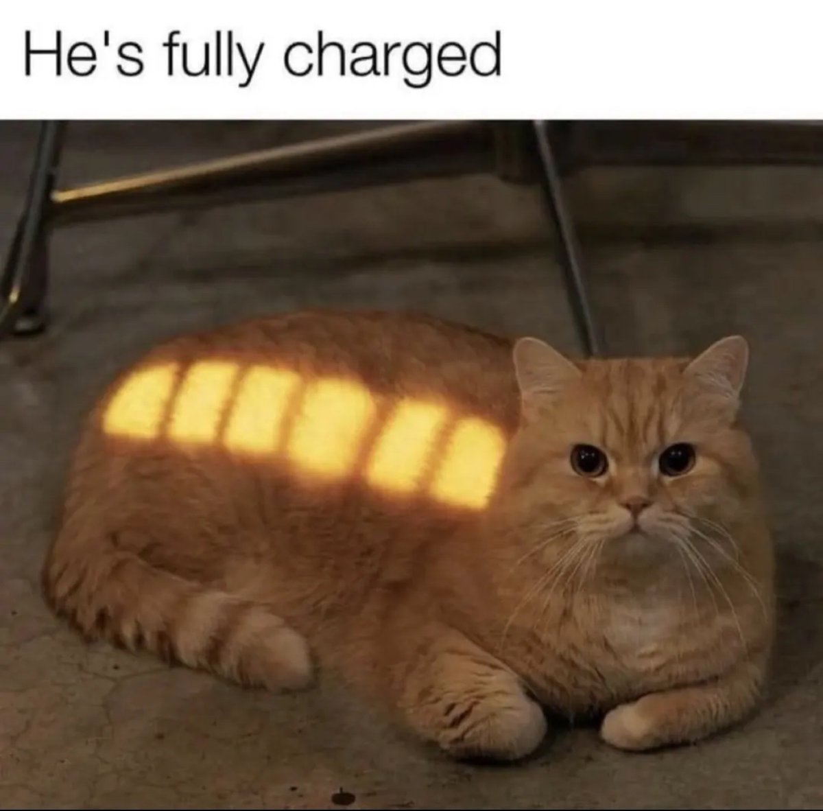 ShitpostGate's tweet image. 