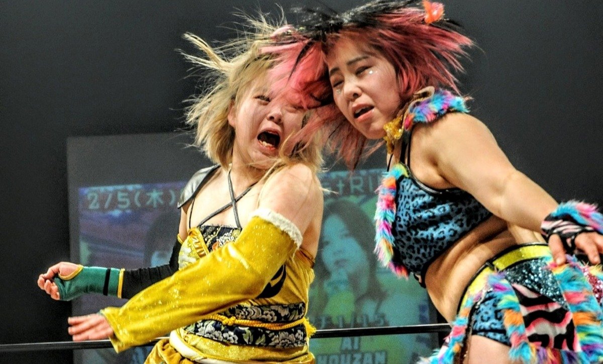 Social Suplex Newsletter tweet media