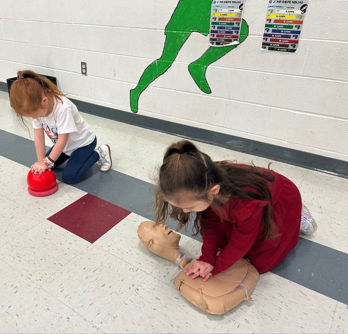 Megan Stevenson tweet media